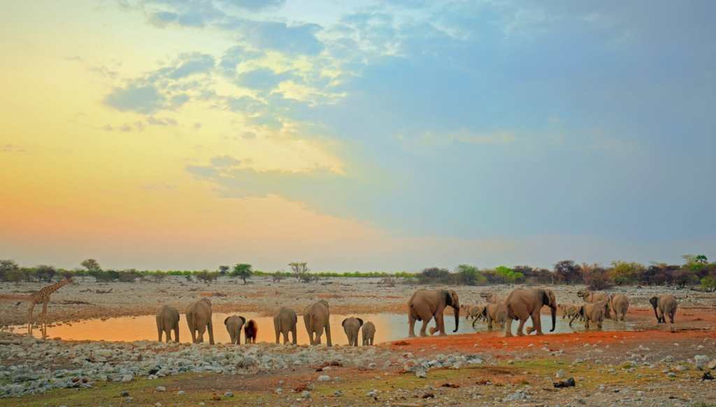 <span style="font-weight: bold;">Namibia&nbsp;</span>